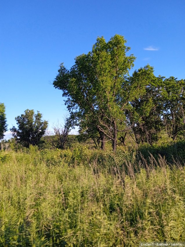 В пригороде Благовещенска
