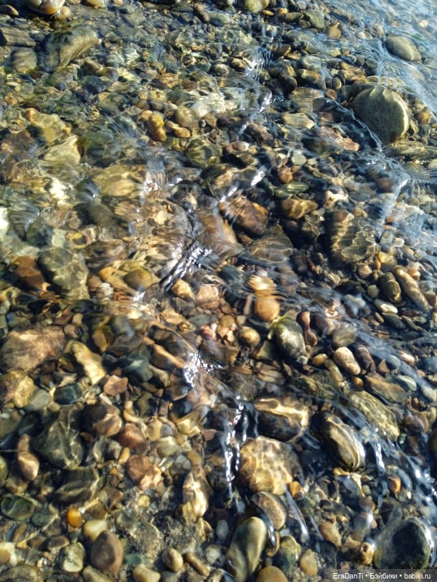 В пригороде Благовещенска (фото 3)