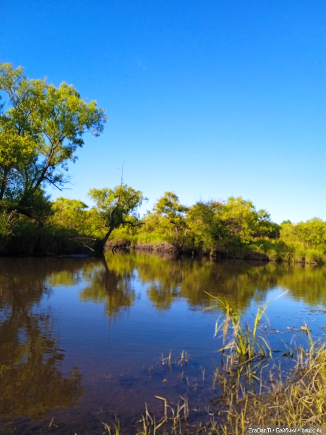 В пригороде Благовещенска (фото 5)