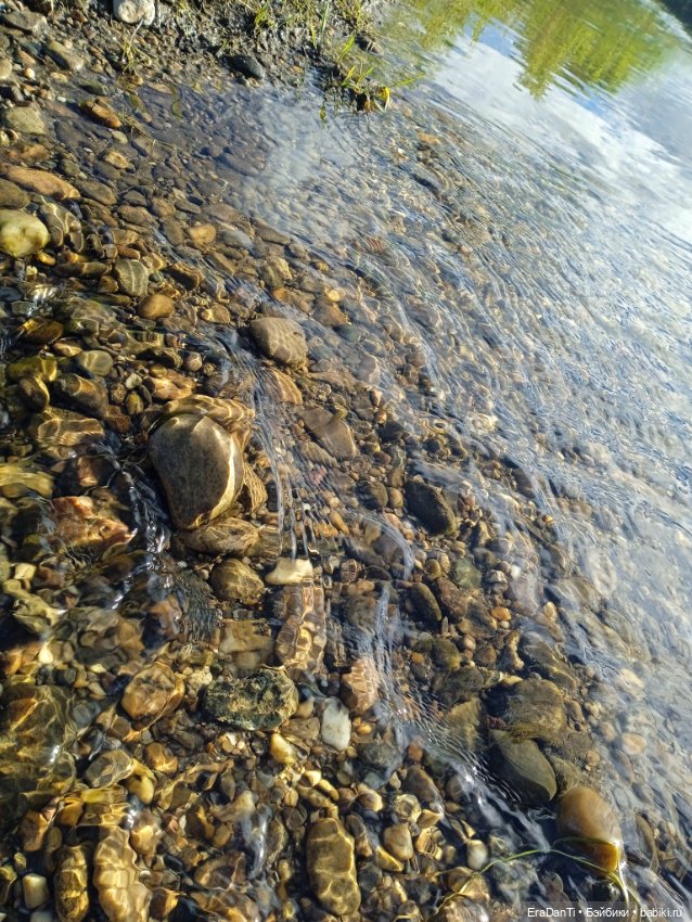 В пригороде Благовещенска (фото 2)