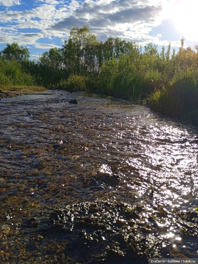 В пригороде Благовещенска