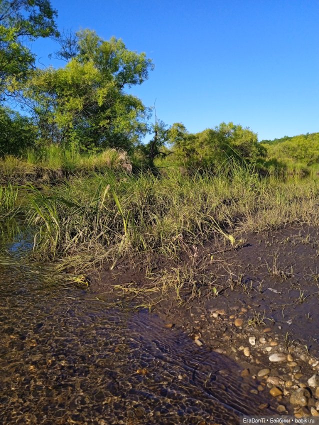 В пригороде Благовещенска (фото 4)
