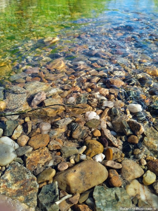 В пригороде Благовещенска