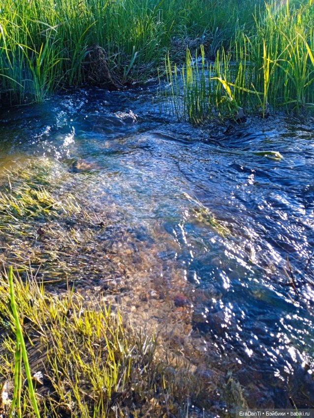 В пригороде Благовещенска
