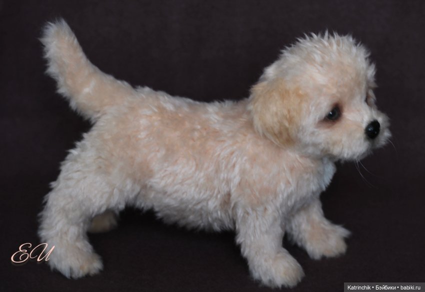 Щенок мальтипу — Авторские мишки Тедди и друзья: фото