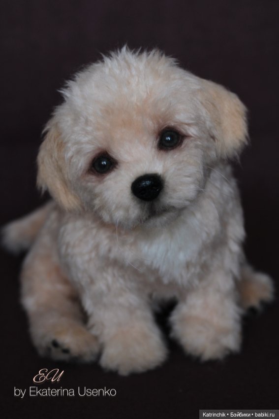 Щенок мальтипу — Авторские мишки Тедди и друзья: фото (фото 9)