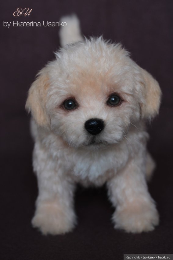 Щенок мальтипу — Авторские мишки Тедди и друзья: фото (фото 6)