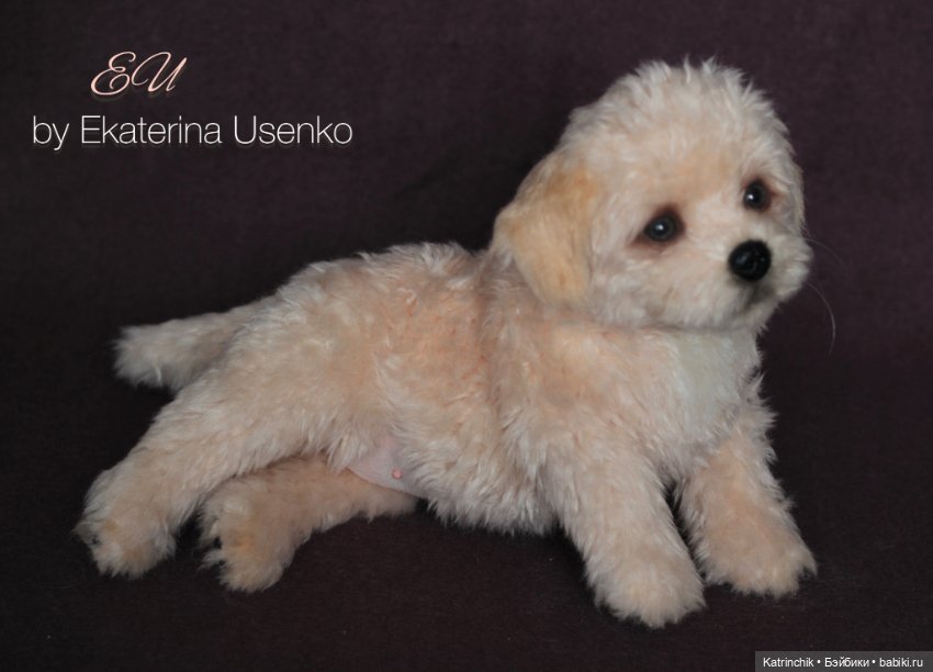 Щенок мальтипу — Авторские мишки Тедди и друзья: фото