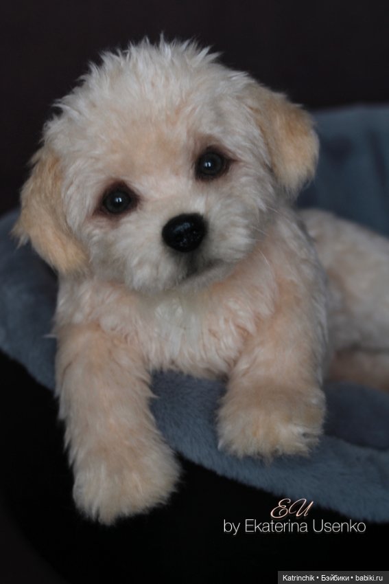 Щенок мальтипу — Авторские мишки Тедди и друзья: фото (фото 5)