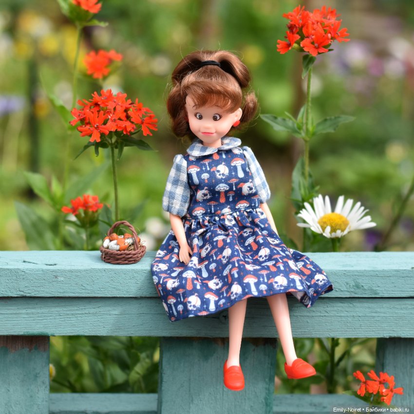 Грибочки-черепочки — Куклы Takara Tomy (Такара): Licca (Ликка) (фото 8)