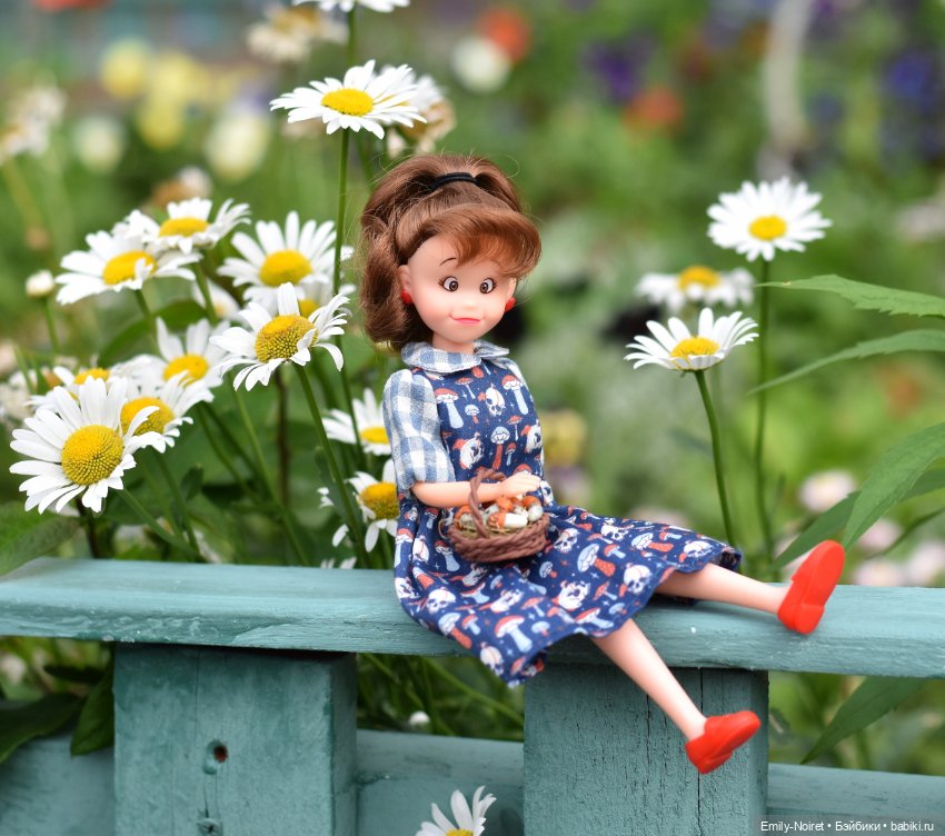 Грибочки-черепочки — Куклы Takara Tomy (Такара): Licca (Ликка)