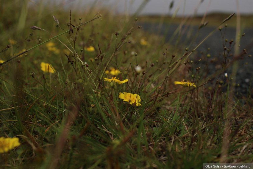Прогулка без куклы, но с игрушкой (фото 7)