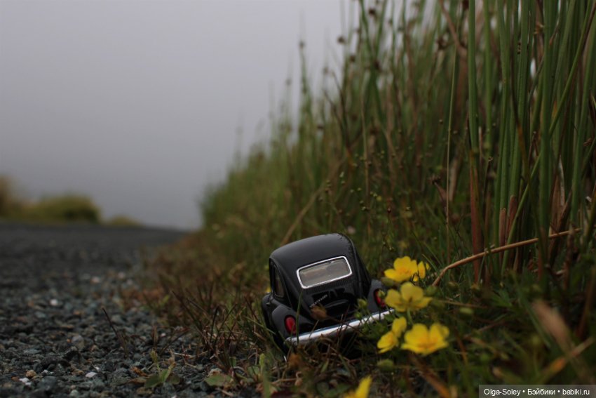 Прогулка без куклы, но с игрушкой (фото 6)