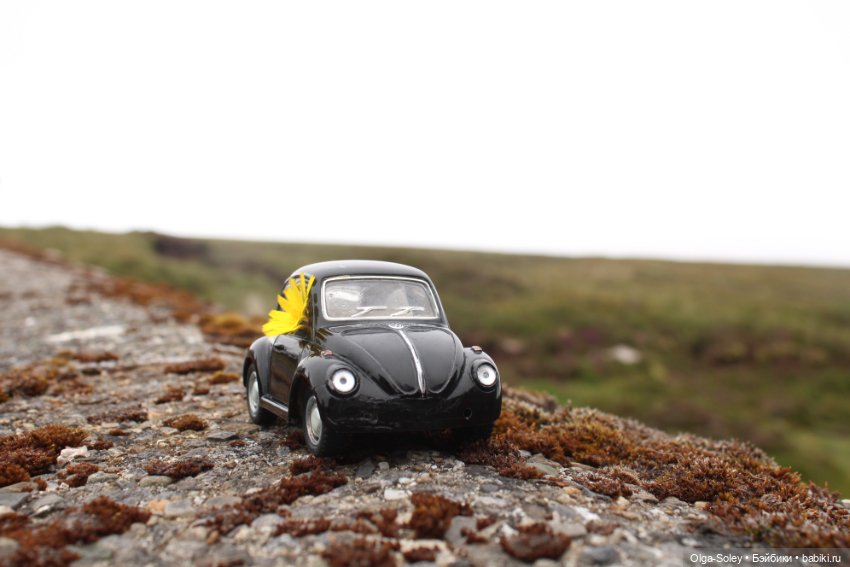 Прогулка без куклы, но с игрушкой (фото 3)