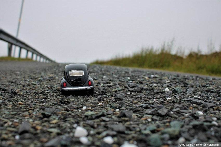 Прогулка без куклы, но с игрушкой (фото 5)