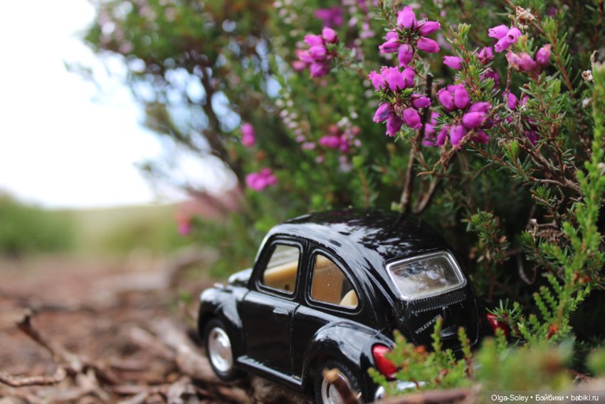 Прогулка без куклы, но с игрушкой (фото 10)