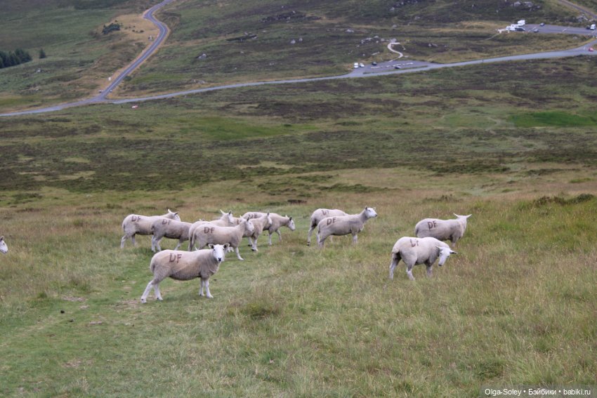 Прогулка без куклы, но с игрушкой