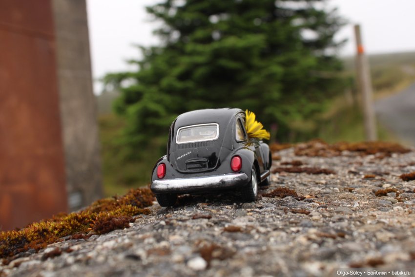 Прогулка без куклы, но с игрушкой (фото 2)