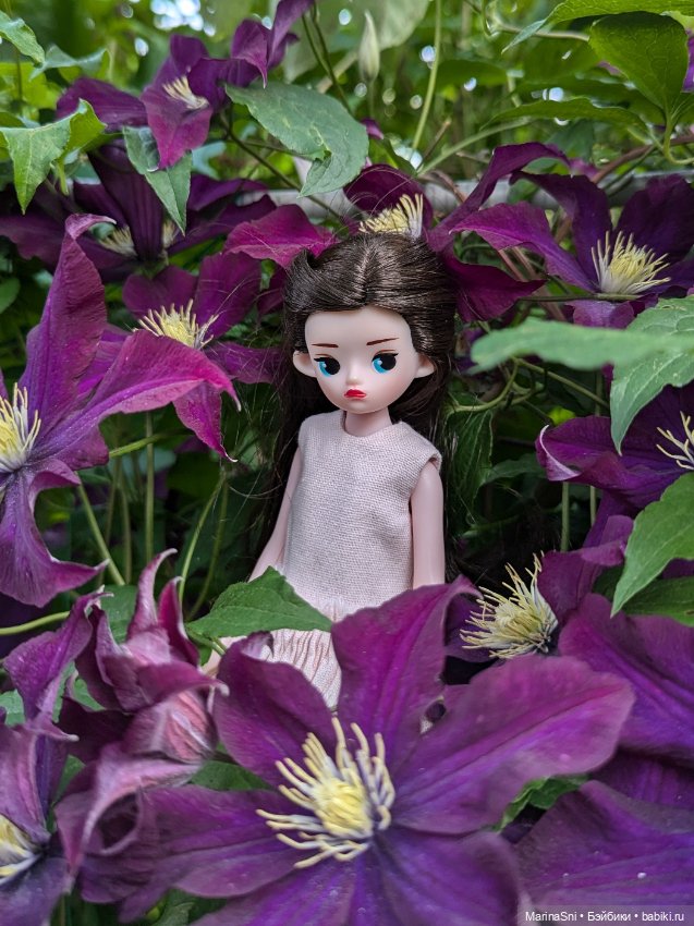 Зоя в цветах. Опять — Куклы Strawberry Planet: Redberry (фото 7)