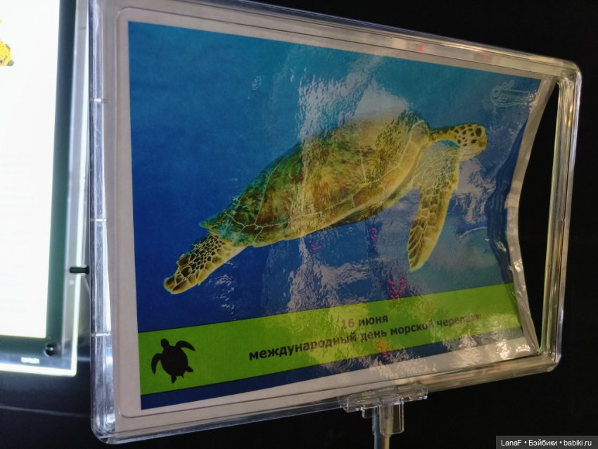 Милочка путешествует🍓💛🌷( Габриэль Мюллер, винил, 23см)