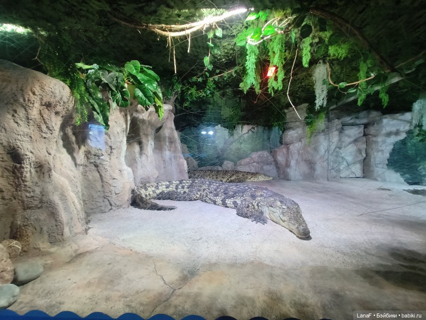 Милочка путешествует🍓💛🌷( Габриэль Мюллер, винил, 23см)