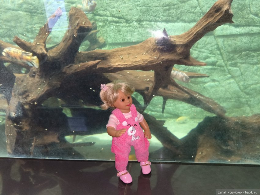 Милочка путешествует🍓💛🌷( Габриэль Мюллер, винил, 23см)