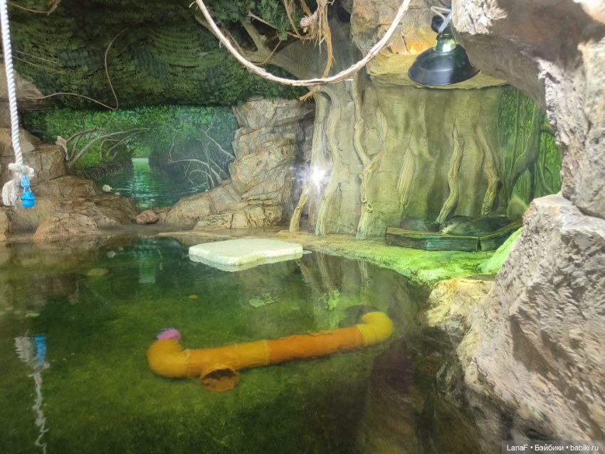 Милочка путешествует🍓💛🌷( Габриэль Мюллер, винил, 23см)