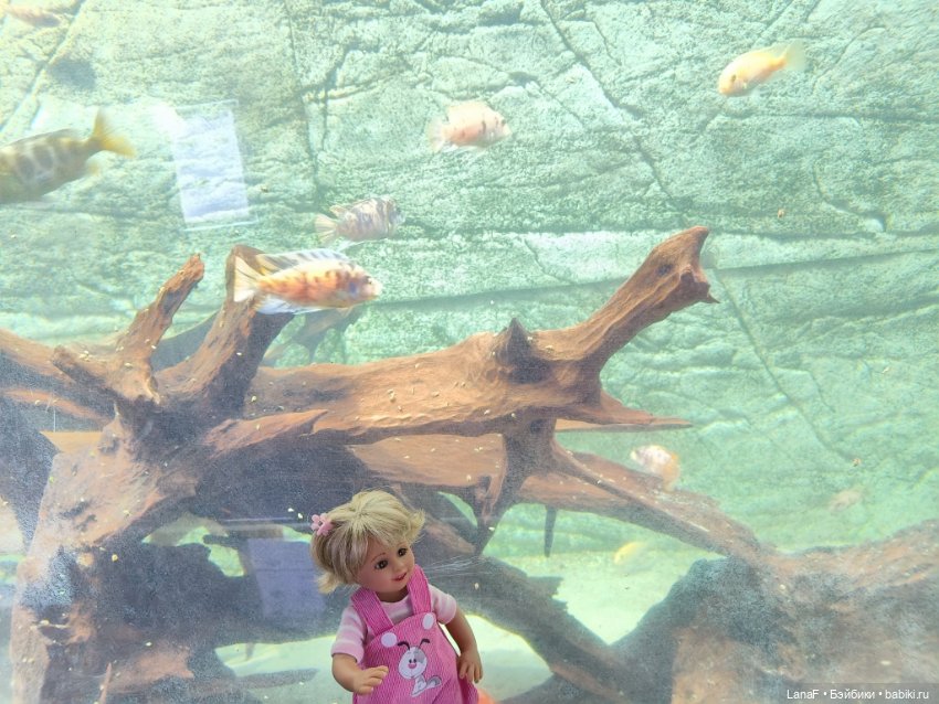 Милочка путешествует🍓💛🌷( Габриэль Мюллер, винил, 23см)