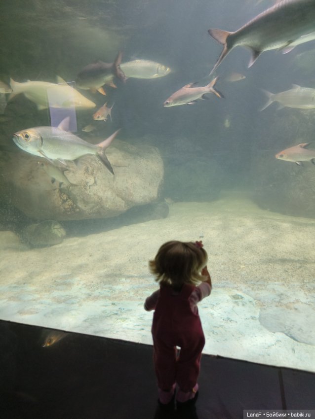 Милочка путешествует🍓💛🌷( Габриэль Мюллер, винил, 23см)