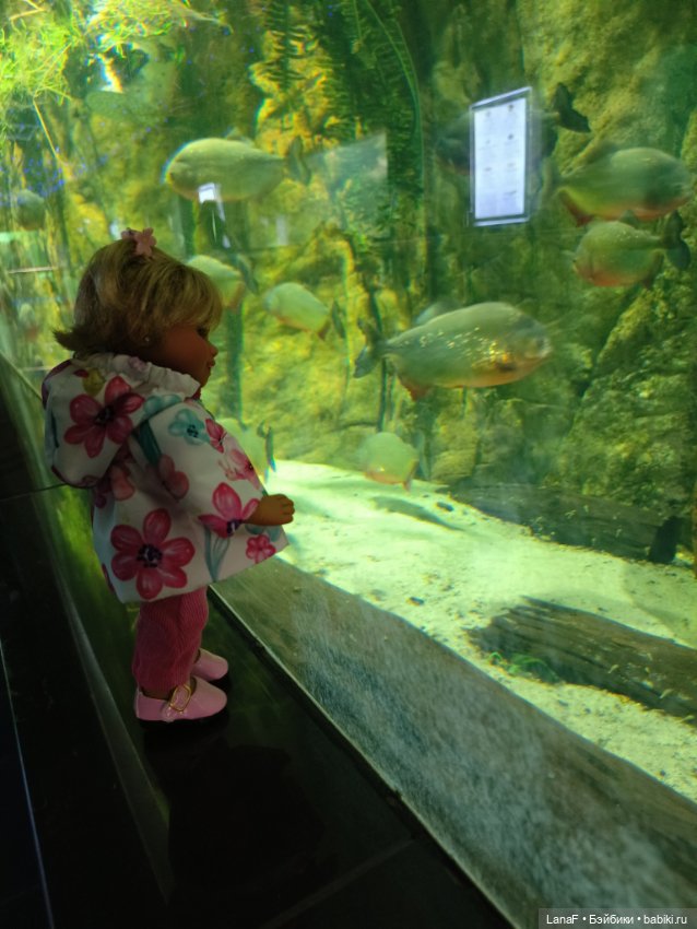 Милочка путешествует🍓💛🌷( Габриэль Мюллер, винил, 23см)