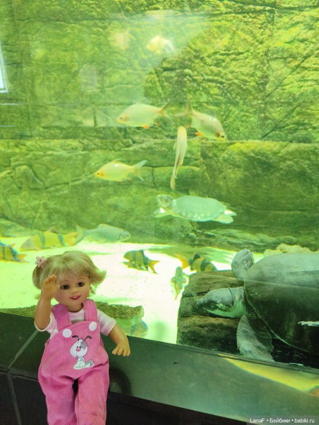 Милочка путешествует🍓💛🌷( Габриэль Мюллер, винил, 23см)