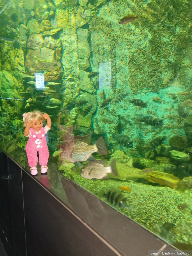 Милочка путешествует🍓💛🌷( Габриэль Мюллер, винил, 23см)