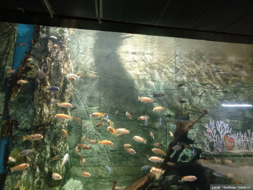 Милочка путешествует🍓💛🌷( Габриэль Мюллер, винил, 23см)