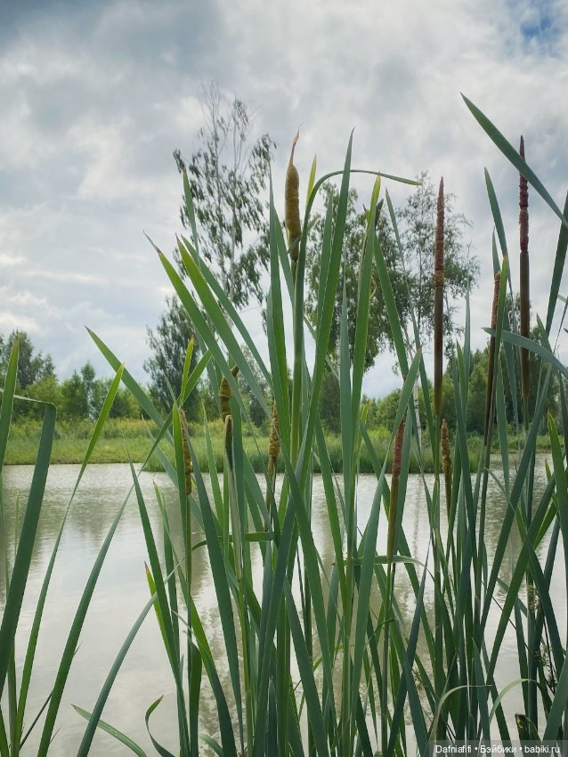 Поли путешественница — Куклы Lidia Snul (Лидия Снуль): авторские BJD (БЖД)