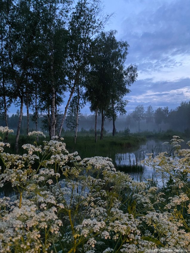 Поли путешественница — Куклы Lidia Snul (Лидия Снуль): авторские BJD (БЖД)