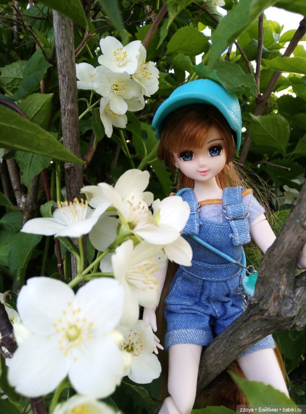 Июньский букет — Гибриды шарнирных кукол (не БЖД): подбор тела