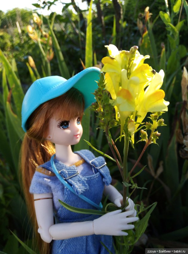 Июньский букет — Гибриды шарнирных кукол (не БЖД): подбор тела