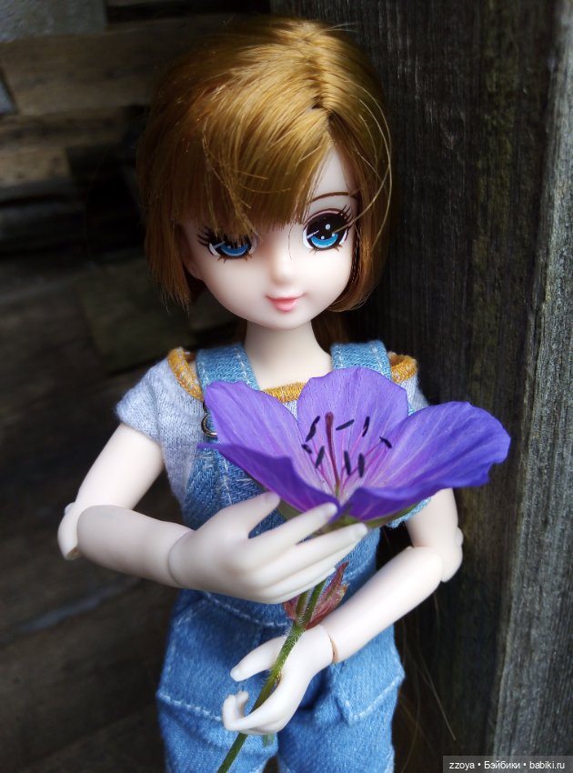 Июньский букет — Гибриды шарнирных кукол (не БЖД): подбор тела (фото 9)