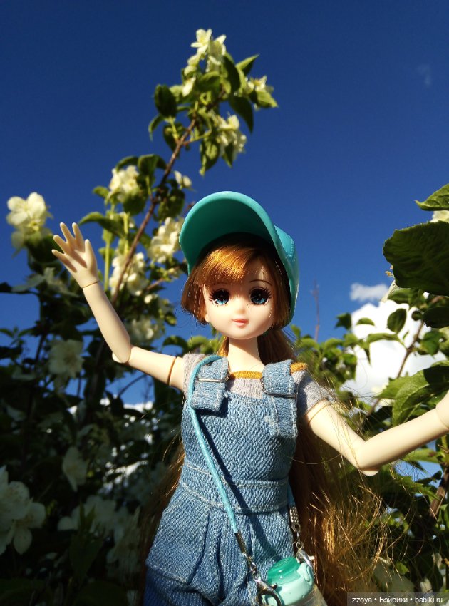 Июньский букет — Гибриды шарнирных кукол (не БЖД): подбор тела