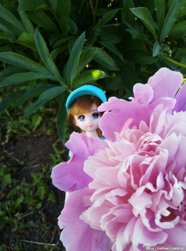 Июньский букет — Гибриды шарнирных кукол (не БЖД): подбор тела