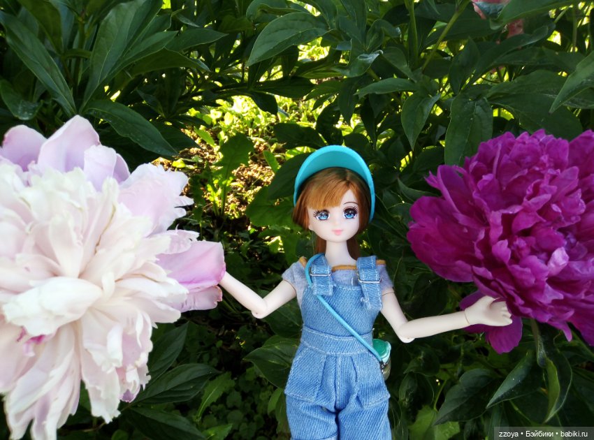 Июньский букет — Гибриды шарнирных кукол (не БЖД): подбор тела