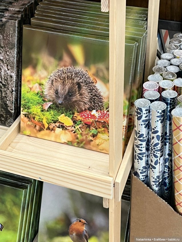 Музыкальная История 130 — Туризм и путешествия: фотоотчеты из поездок (фото 9)