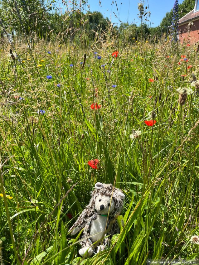 Музыкальная История 130 — Туризм и путешествия: фотоотчеты из поездок