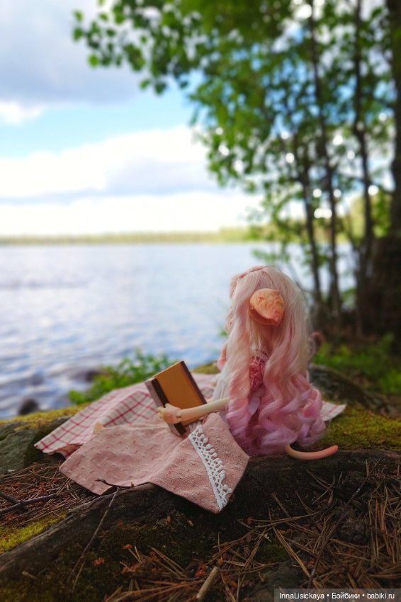 Кошку взяли погулять — Куклы Dollzone (Доллзон): BJD (БЖД) (фото 9)