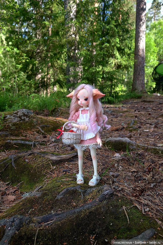 Кошку взяли погулять — Куклы Dollzone (Доллзон): BJD (БЖД) (фото 4)