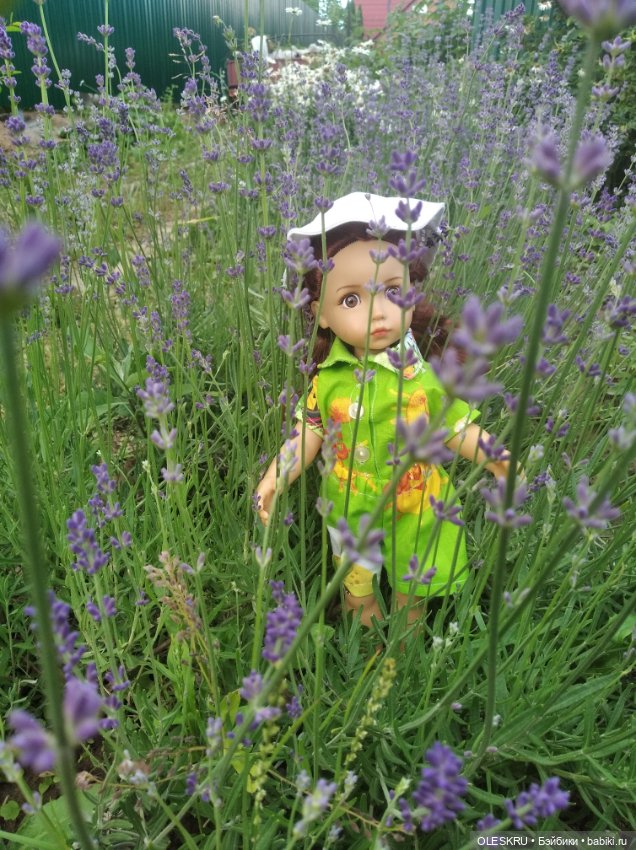 Моё лавандовое лето — Интересное и необычное: фотоподборки (фото 4)