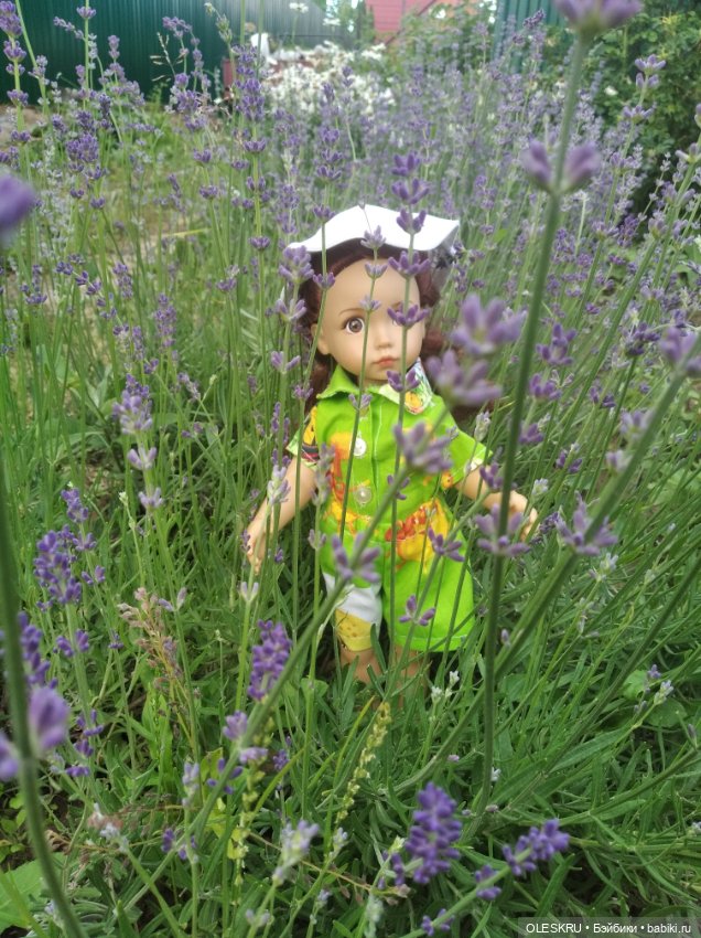 Моё лавандовое лето — Интересное и необычное: фотоподборки (фото 2)