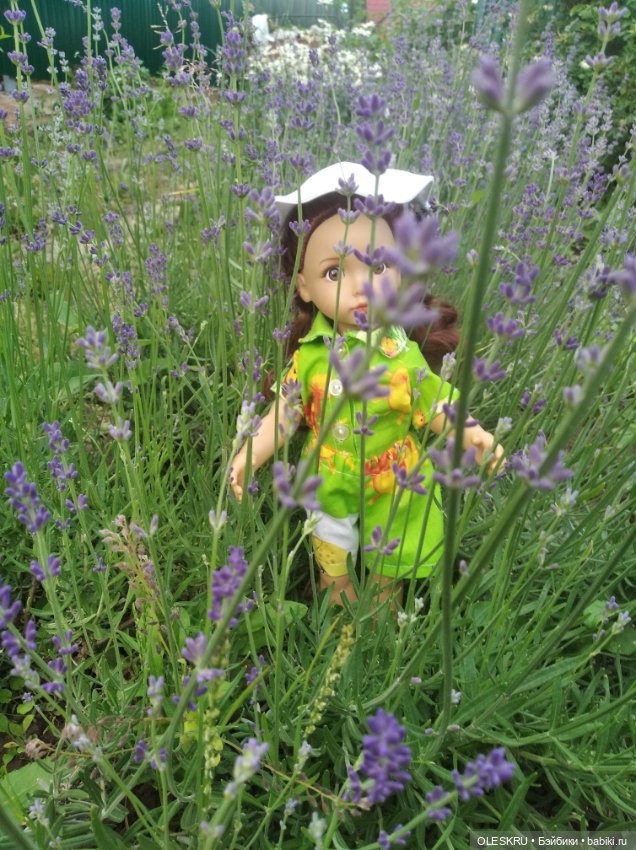 Моё лавандовое лето — Интересное и необычное: фотоподборки (фото 3)