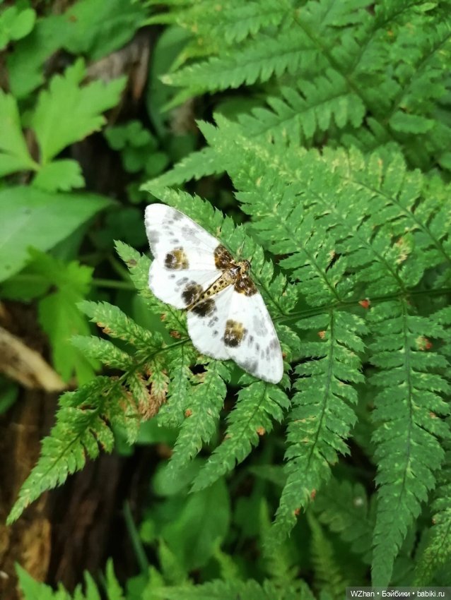 На природе, вдали от города