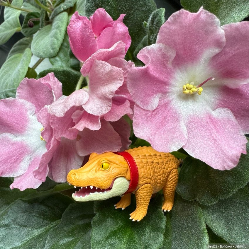 Крокодил Gachapon — Коллекционные фигурки (разное): животные (фото 10)